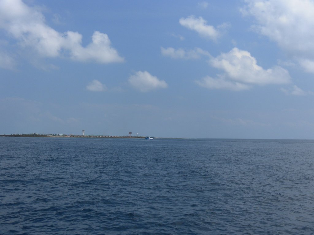 Image SAM_0711.JPG