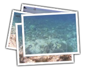 Maldive - Embudu album picture