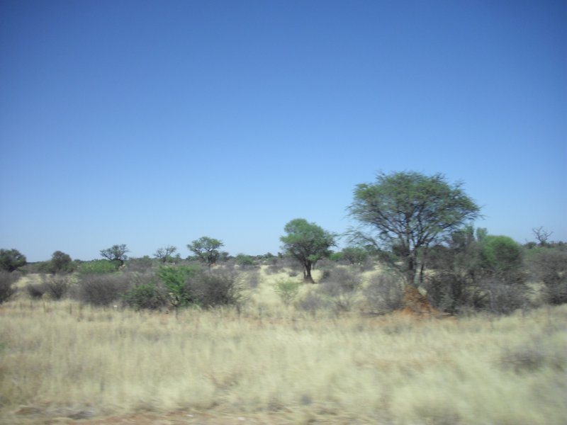 Image CIMG7598.JPG