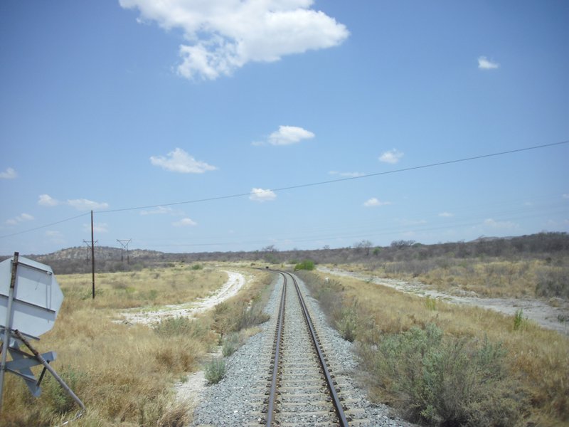 Image CIMG7602.JPG