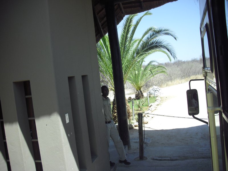 Image CIMG7603.JPG