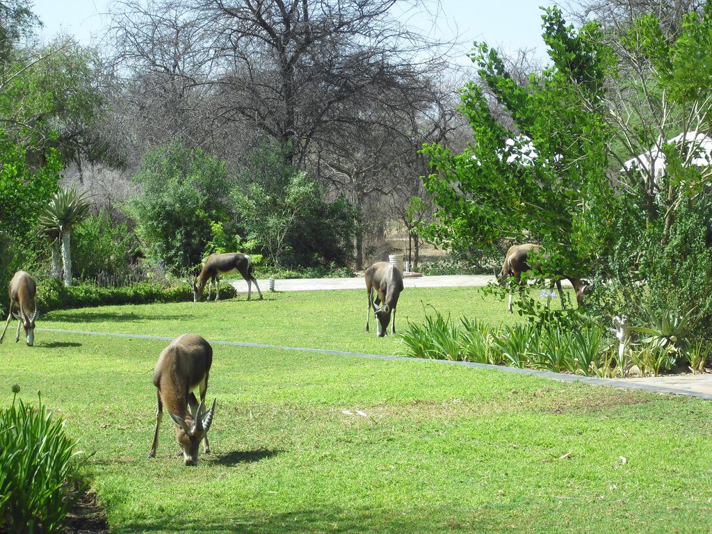 Image CIMG7606.JPG