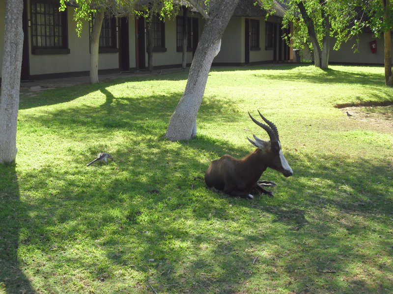 Image CIMG7609.JPG