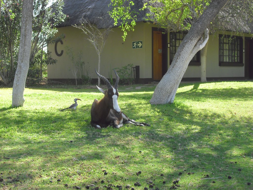 Image CIMG7610.JPG