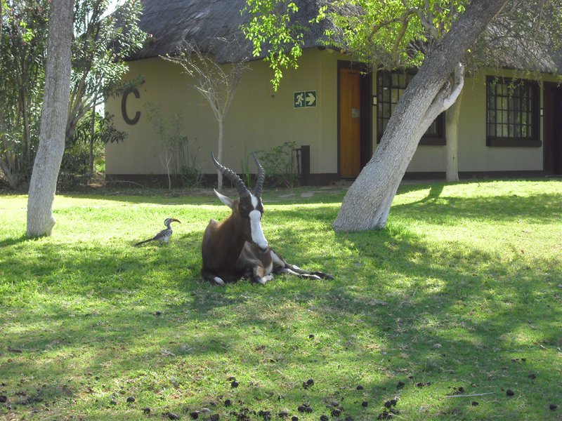 Image CIMG7610.JPG