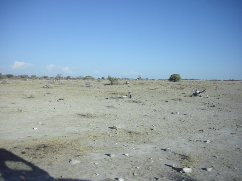 Image CIMG7619.JPG