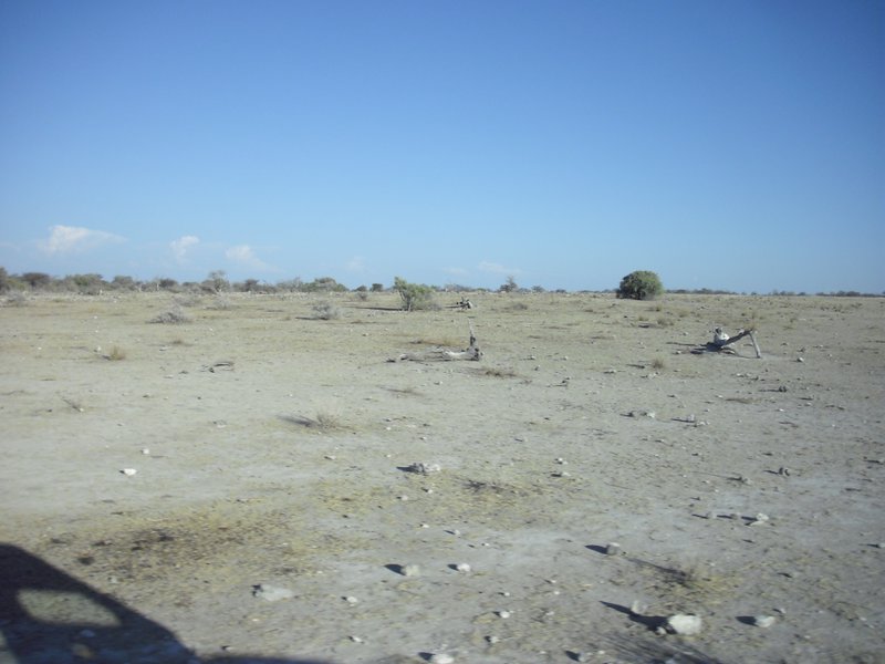 Image CIMG7619.JPG