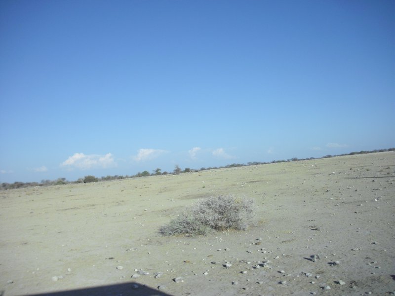 Image CIMG7620.JPG