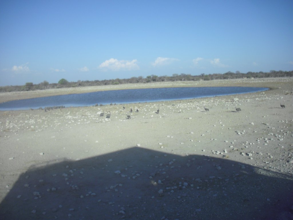 Image CIMG7621.JPG
