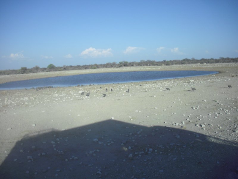 Image CIMG7621.JPG