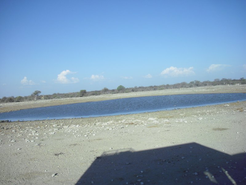 Image CIMG7622.JPG