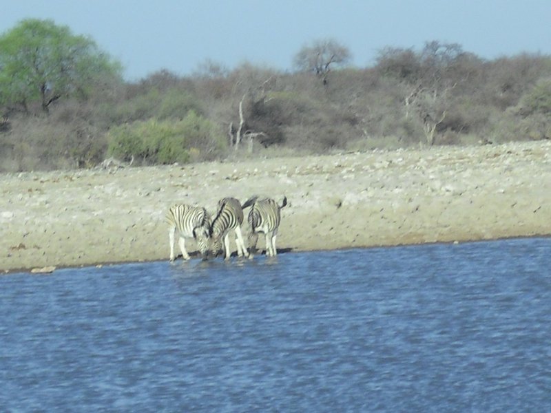 Image CIMG7624.JPG
