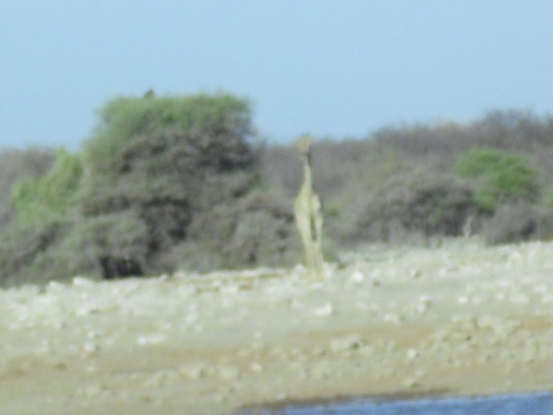 Image CIMG7625.JPG