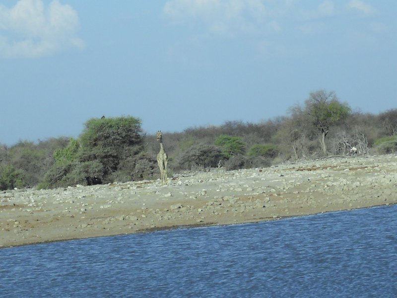 Image CIMG7626.JPG