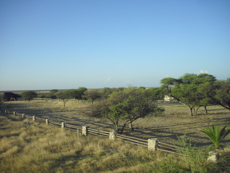 Image CIMG7635.JPG