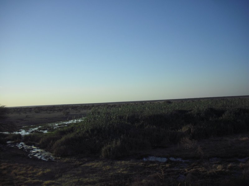 Image CIMG7636.JPG