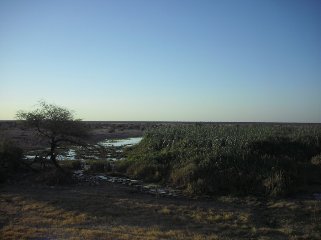 Image CIMG7637.JPG