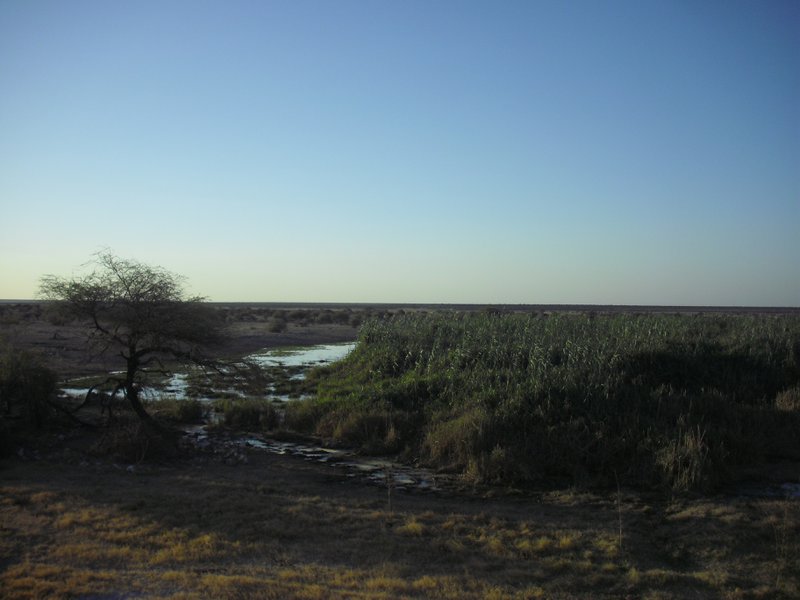 Image CIMG7637.JPG