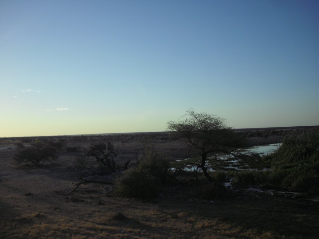 Image CIMG7638.JPG