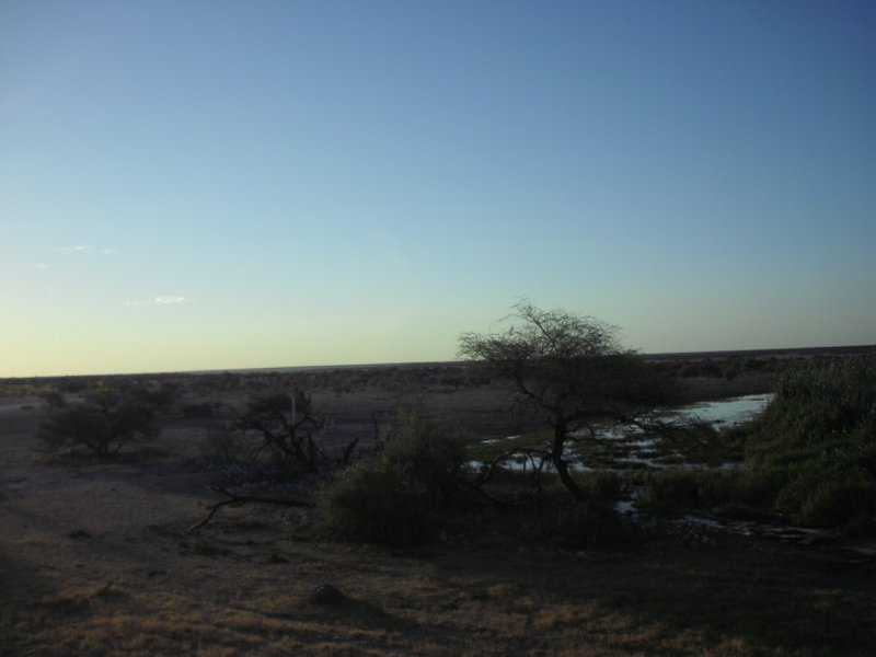 Image CIMG7638.JPG