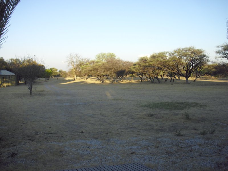 Image CIMG7639.JPG