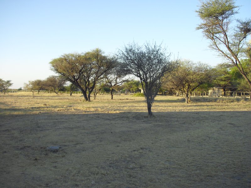 Image CIMG7640.JPG