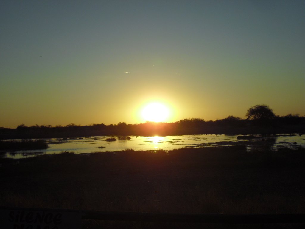 Image CIMG7642.JPG
