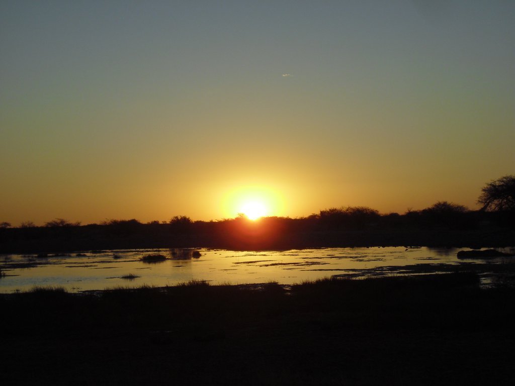 Image CIMG7645.JPG
