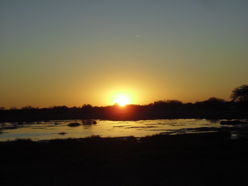 Image CIMG7645.JPG