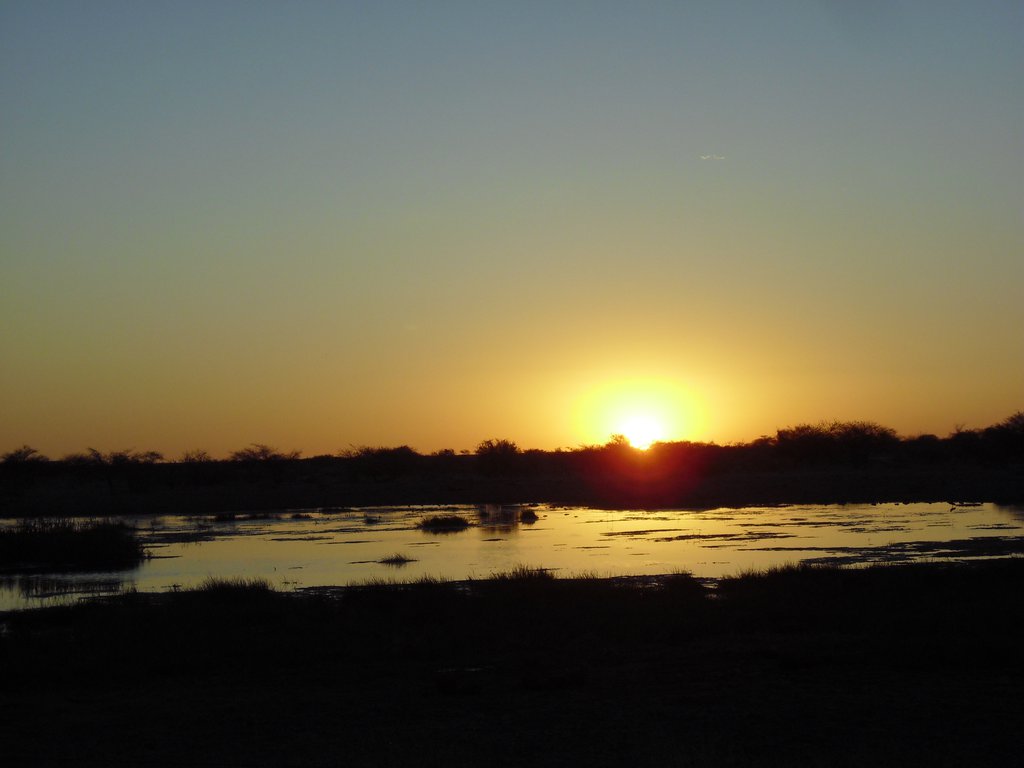 Image CIMG7646.JPG