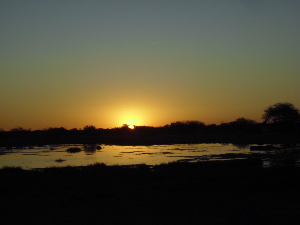 Image CIMG7647.JPG
