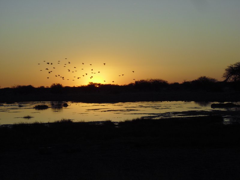 Image CIMG7648.JPG