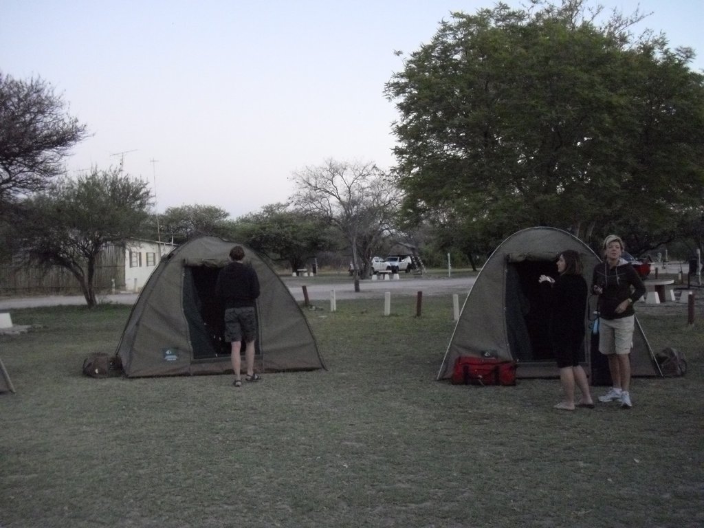 Image CIMG7655.JPG