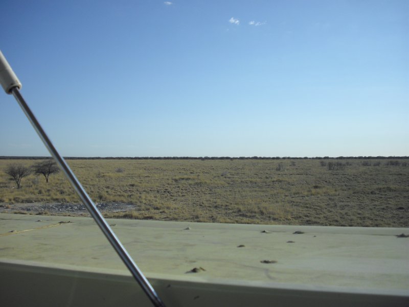 Image CIMG7662.JPG