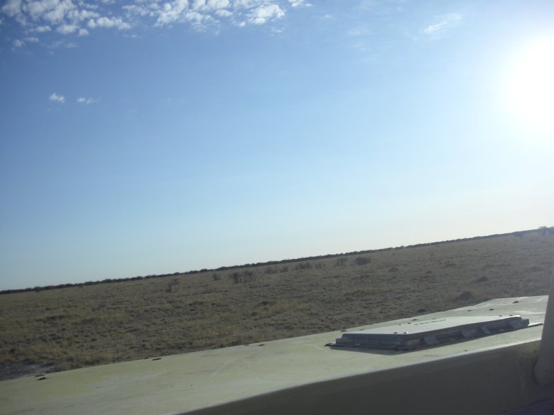 Image CIMG7663.JPG
