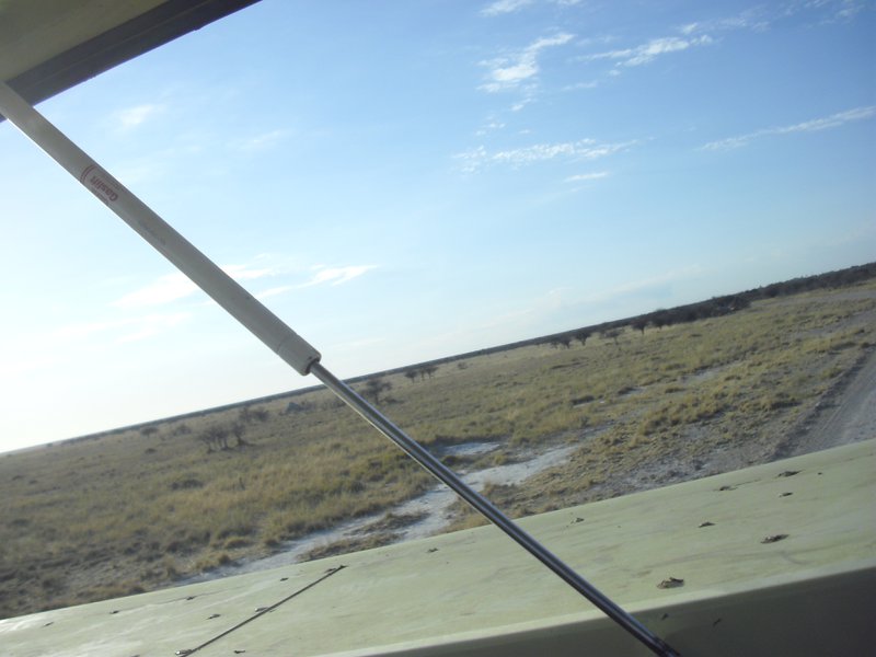Image CIMG7664.JPG