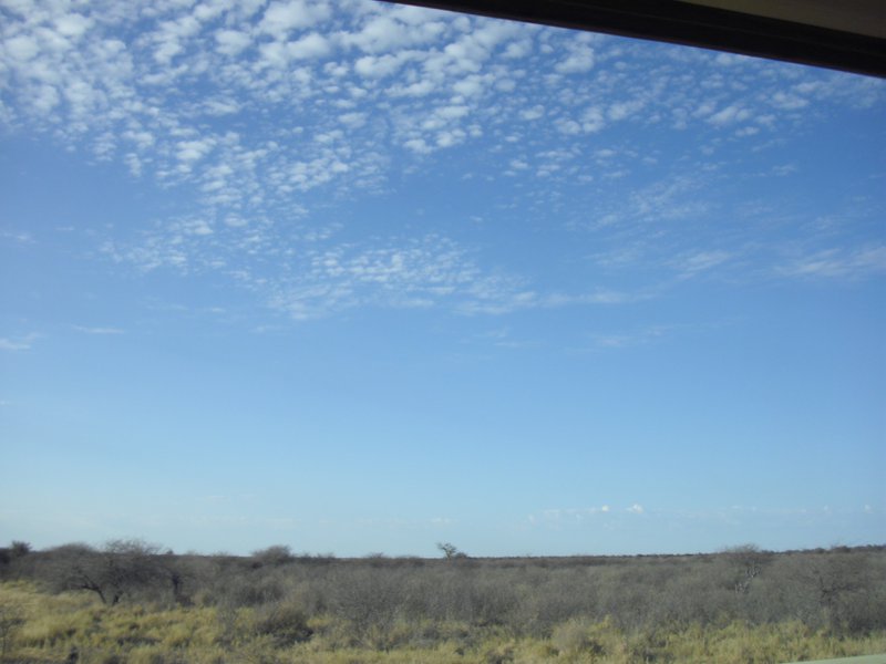 Image CIMG7665.JPG