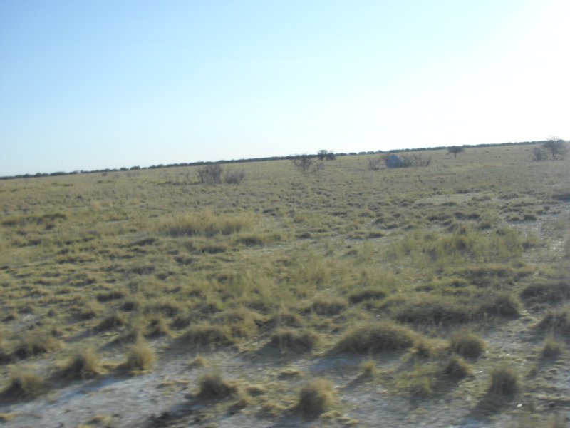 Image CIMG7666.JPG