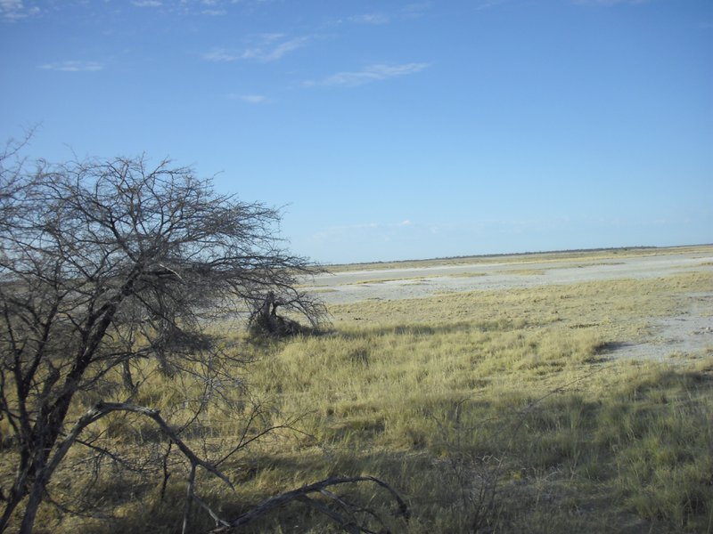 Image CIMG7668.JPG