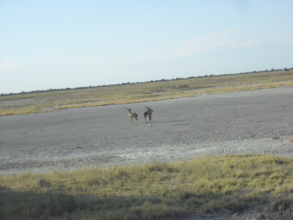 Image CIMG7670.JPG
