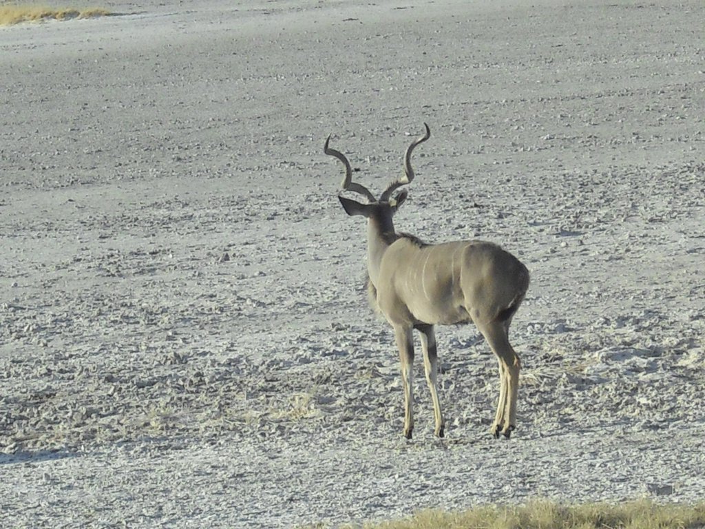 Image CIMG7671.JPG