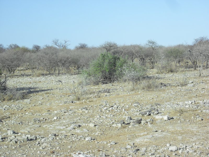 Image CIMG7678.JPG