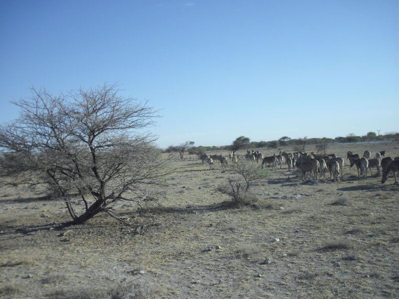 Image CIMG7680.JPG