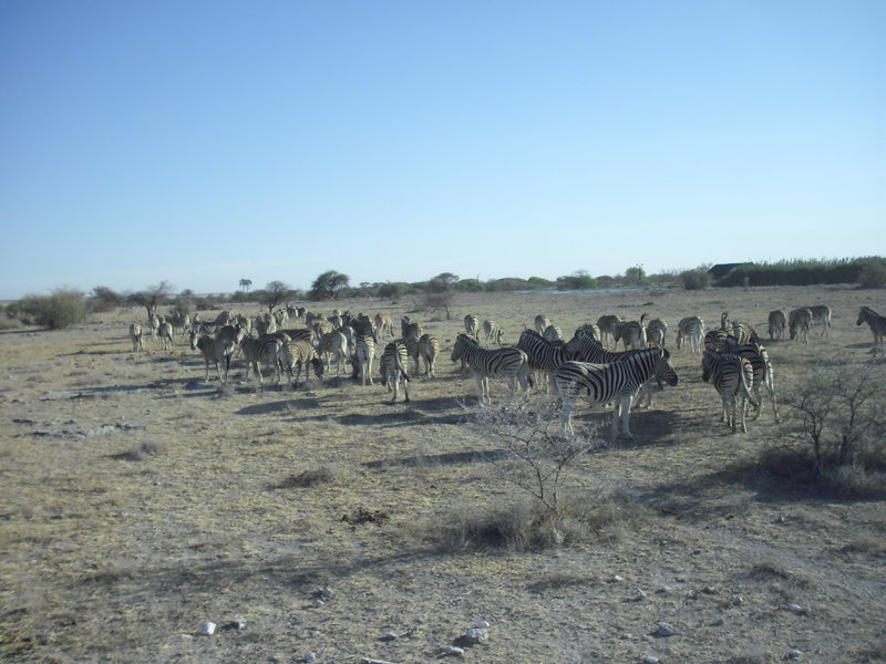 Image CIMG7681.JPG