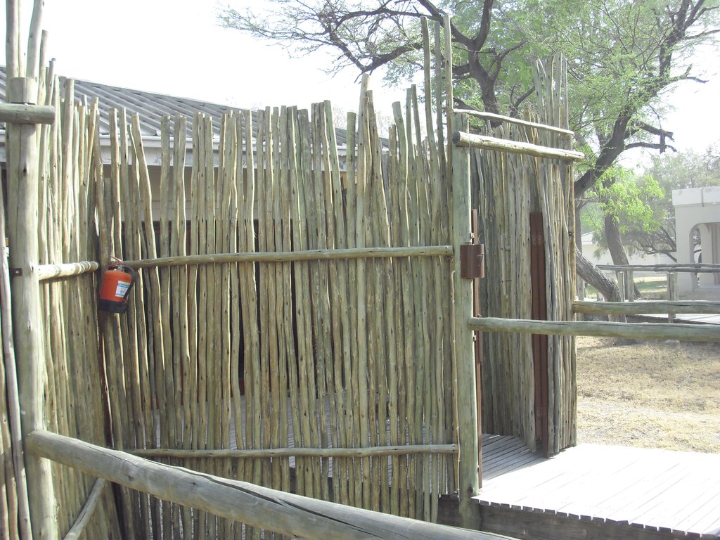Image CIMG7696.JPG