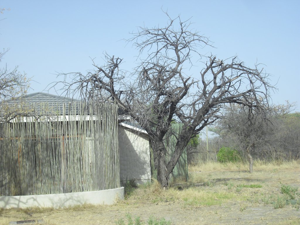 Image CIMG7698.JPG