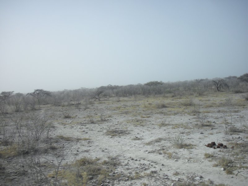 Image CIMG7699.JPG