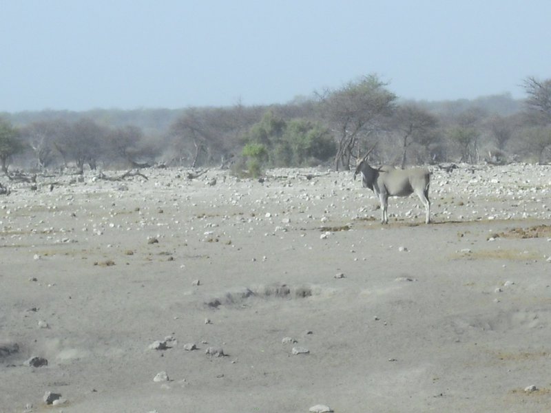 Image CIMG7704.JPG