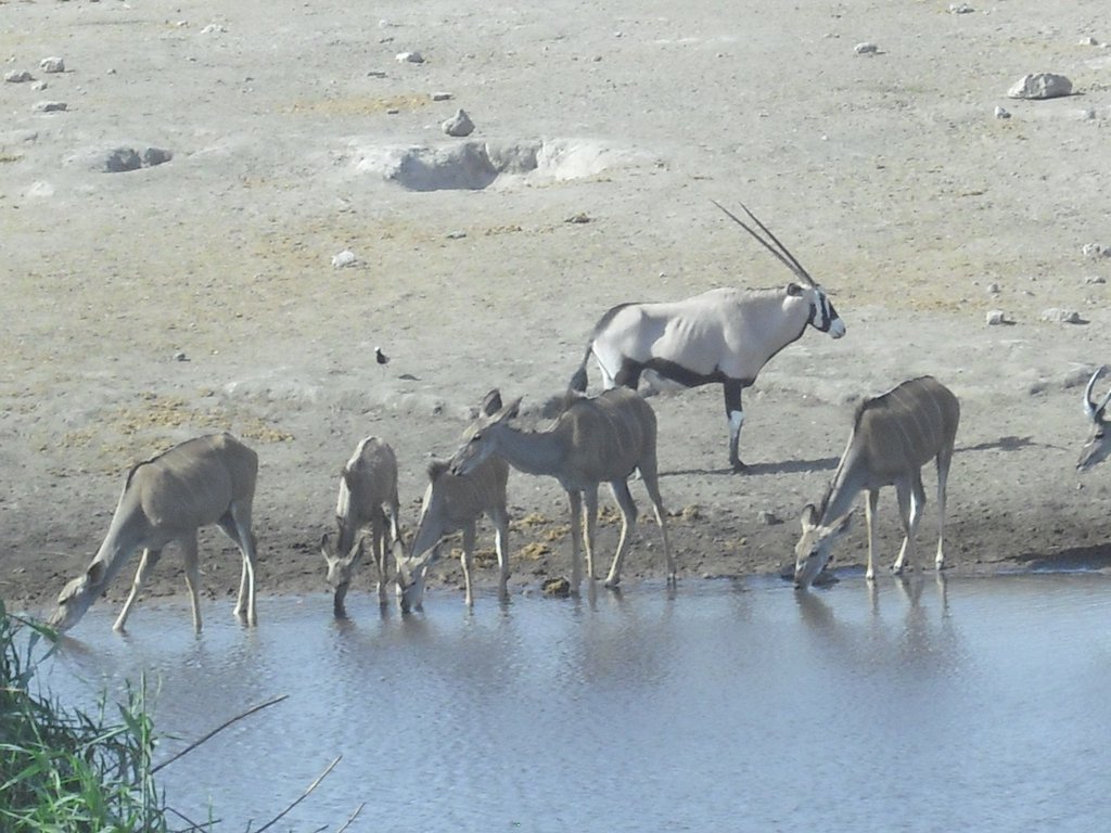 Image CIMG7705.JPG