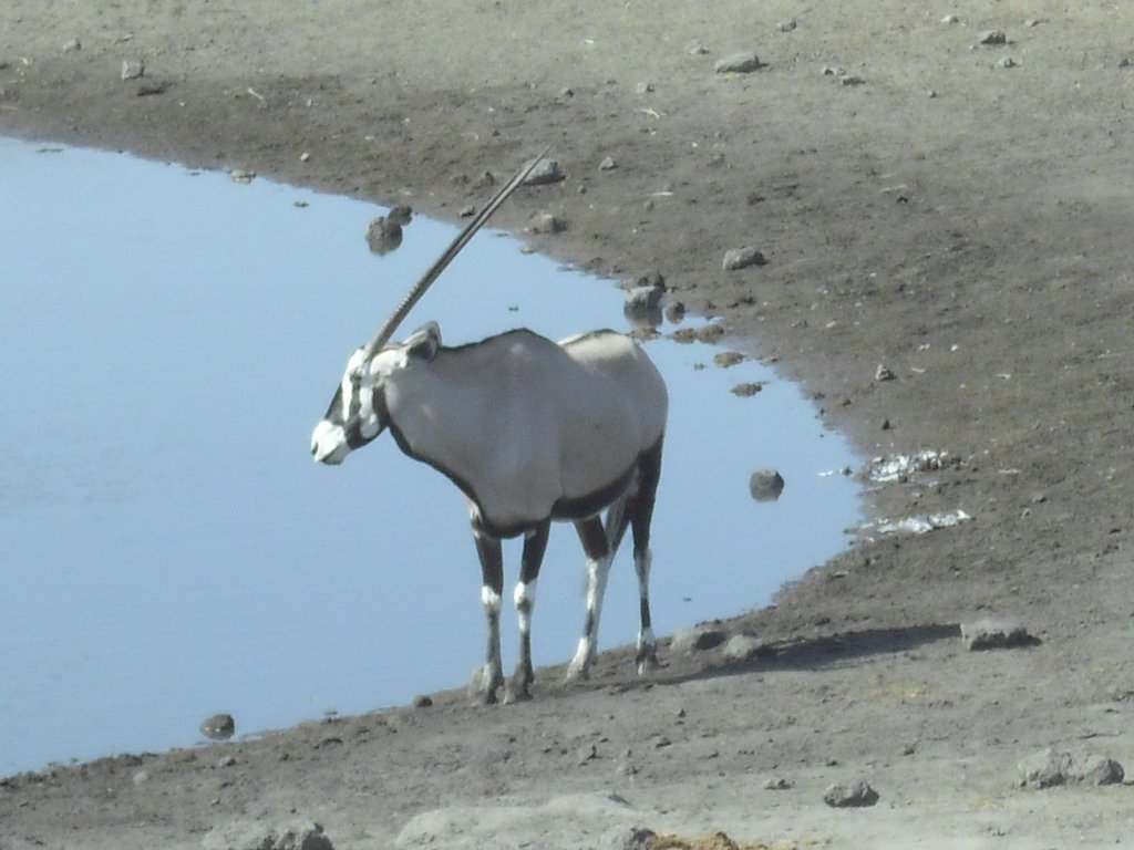 Image CIMG7706.JPG